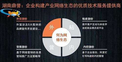 二十年網(wǎng)絡(luò)營(yíng)銷實(shí)戰(zhàn)專家談 國(guó)內(nèi)企業(yè)網(wǎng)絡(luò)營(yíng)銷推廣的“道、法、術(shù)”
