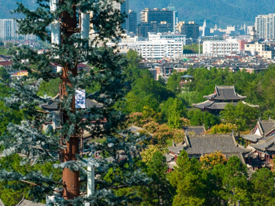 浙江電信全面建設(shè)5G-A網(wǎng)絡(luò)，為AI時(shí)代注入新動能